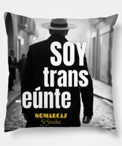 Cojín | Soy transeúnte